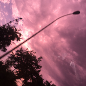 朝仓琴美无码AV在线
